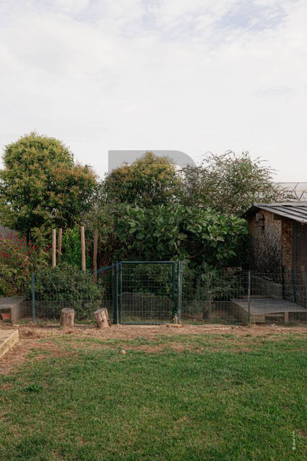 LA FAMILIA | LIMOUX (11300) – Image 7
