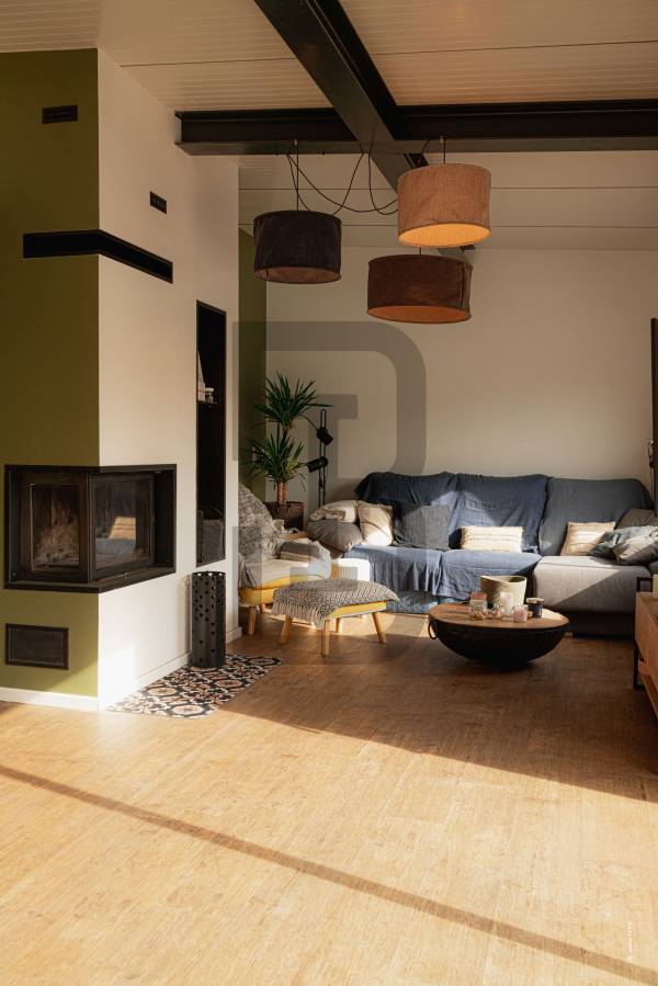 LA FAMILIA | LIMOUX (11300) – Image 23
