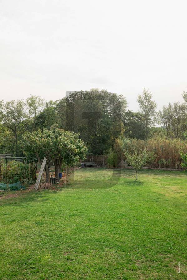 LA FAMILIA | LIMOUX (11300) – Image 5