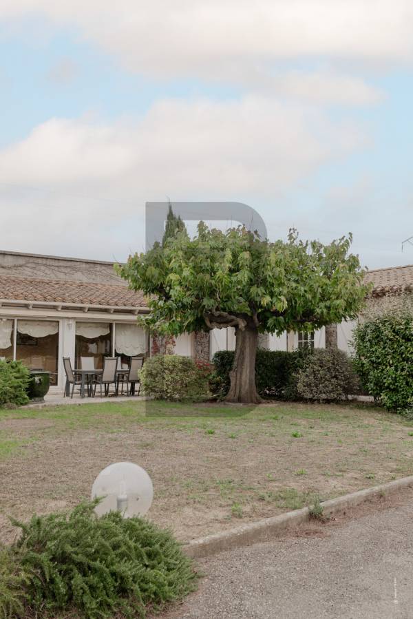 VIGNERONNE | 10minutes de TREBES (11800) – Image 2