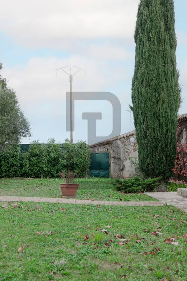 VIGNERONNE | 10minutes de TREBES (11800) – Image 17
