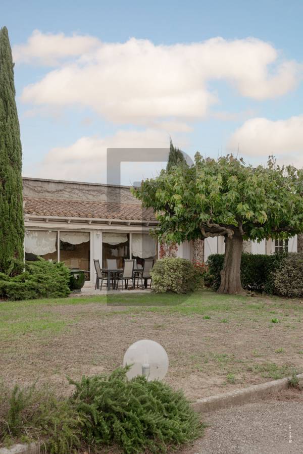 VIGNERONNE | 10minutes de TREBES (11800) – Image 3