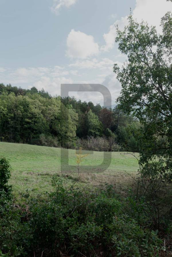 L'ATYPIQUE | 30 minutes de LIMOUX (11300) – Image 54