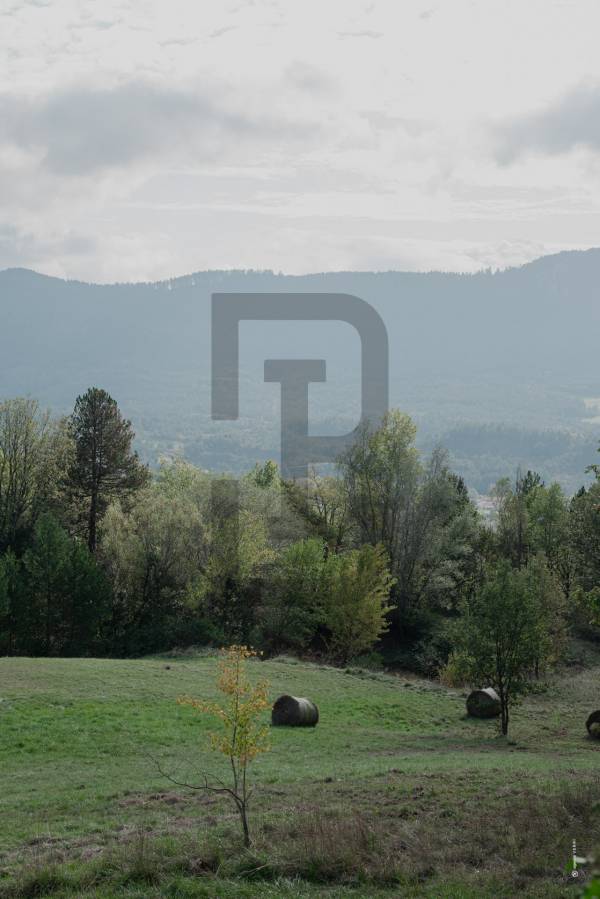 L'ATYPIQUE | 30 minutes de LIMOUX (11300) – Image 55