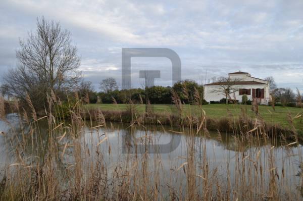 CARRELET | PROCHE DE LESPARRE MEDOC (33340) – Image 33
