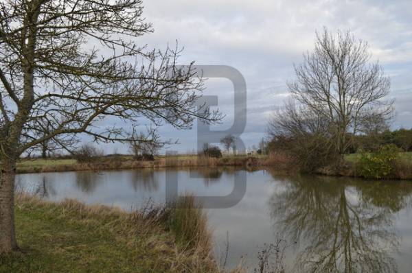 CARRELET | PROCHE DE LESPARRE MEDOC (33340) – Image 34