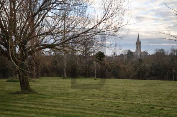 CARRELET | PROCHE DE LESPARRE MEDOC (33340) – Image 37