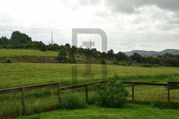 CHALEUREUSE | LIMOUX (11300) – Image 14