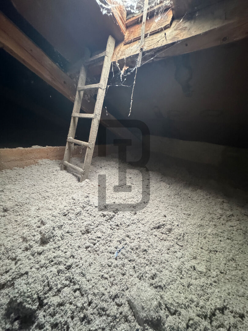 bien-immobilier-bernard immobilier