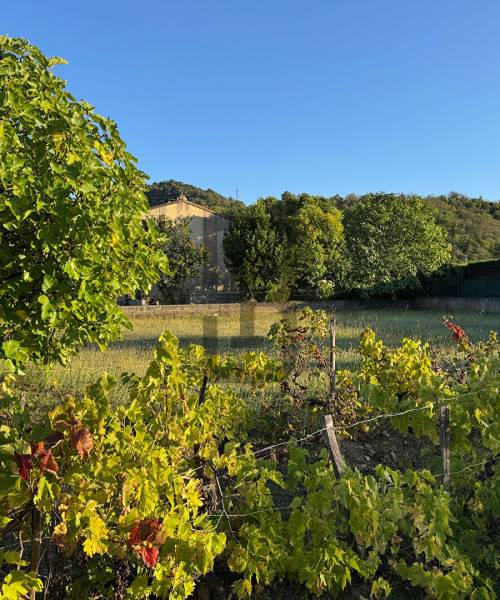 Bien immobilier-bien-immobilier