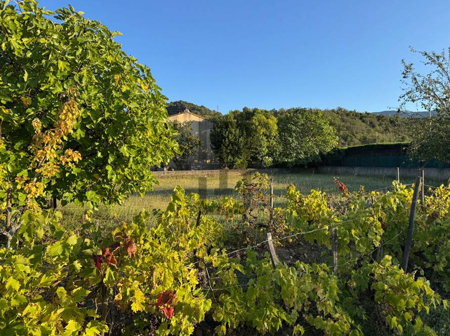 Bien immobilier-bien-immobilier