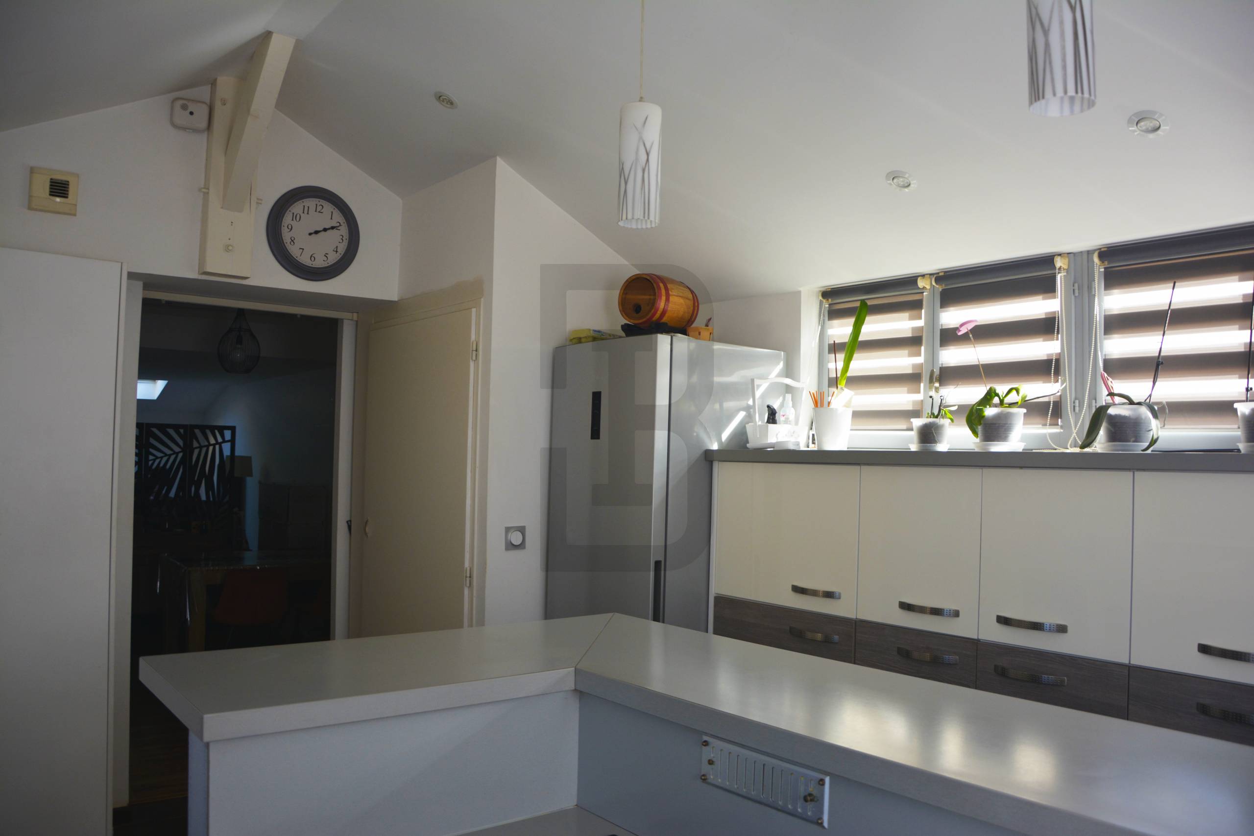 Ensemble immobilier à Quillan, composé de 2 logements (une maison avec un garage + un studio indépendant avec terrasse).