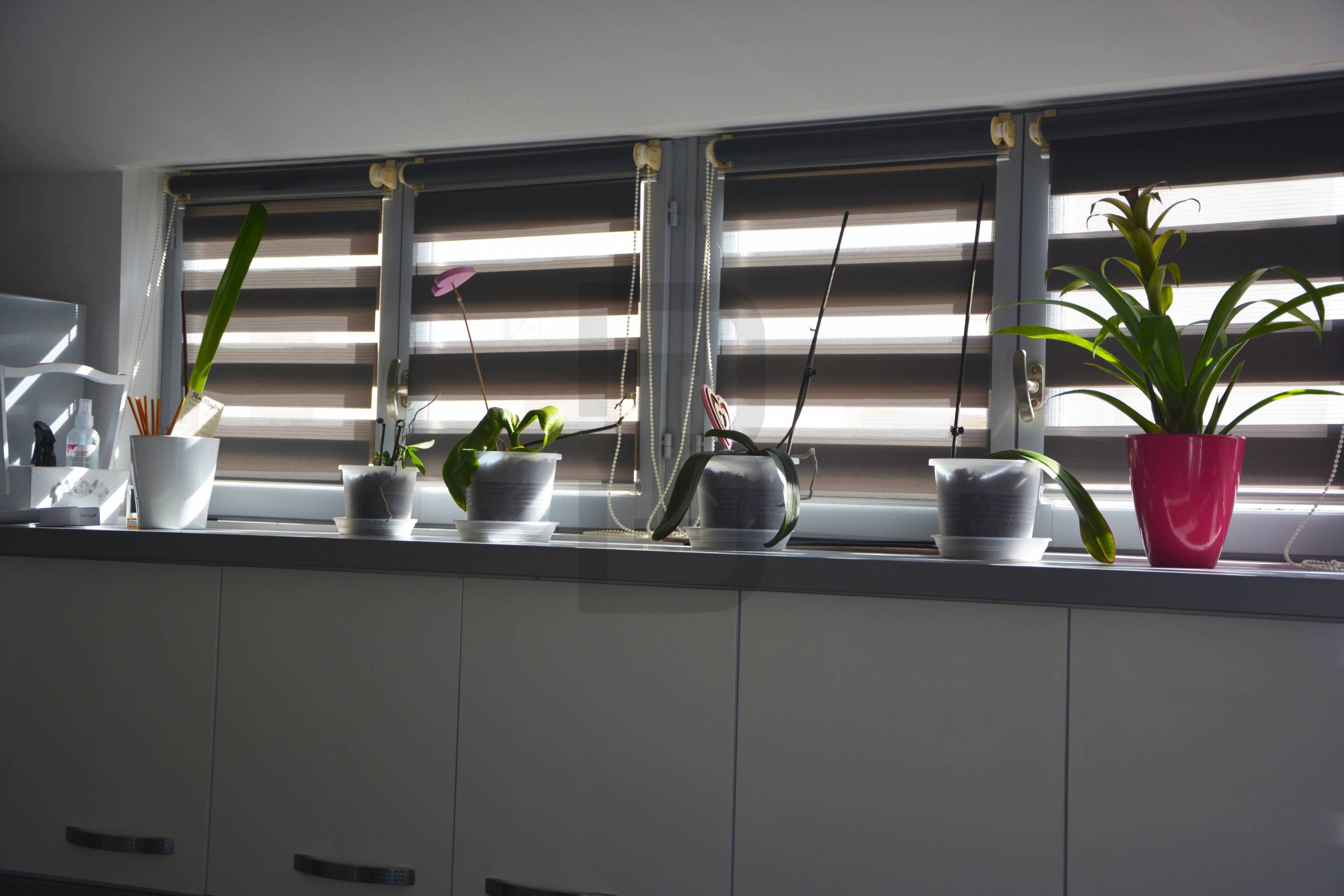 Ensemble immobilier à Quillan, composé de 2 logements (une maison avec un garage + un studio indépendant avec terrasse).