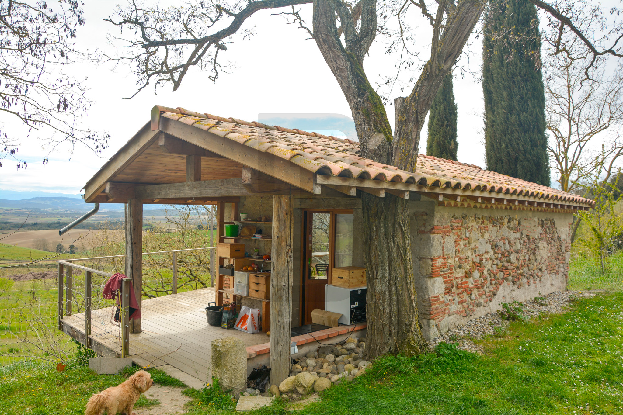 AMOUR | LIMOUX (11300) – Image 104