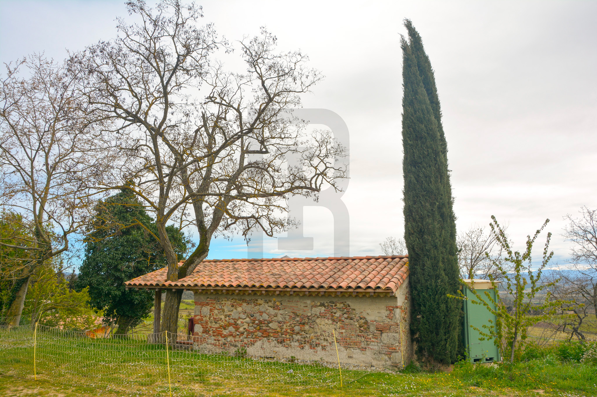 AMOUR | LIMOUX (11300) – Image 106