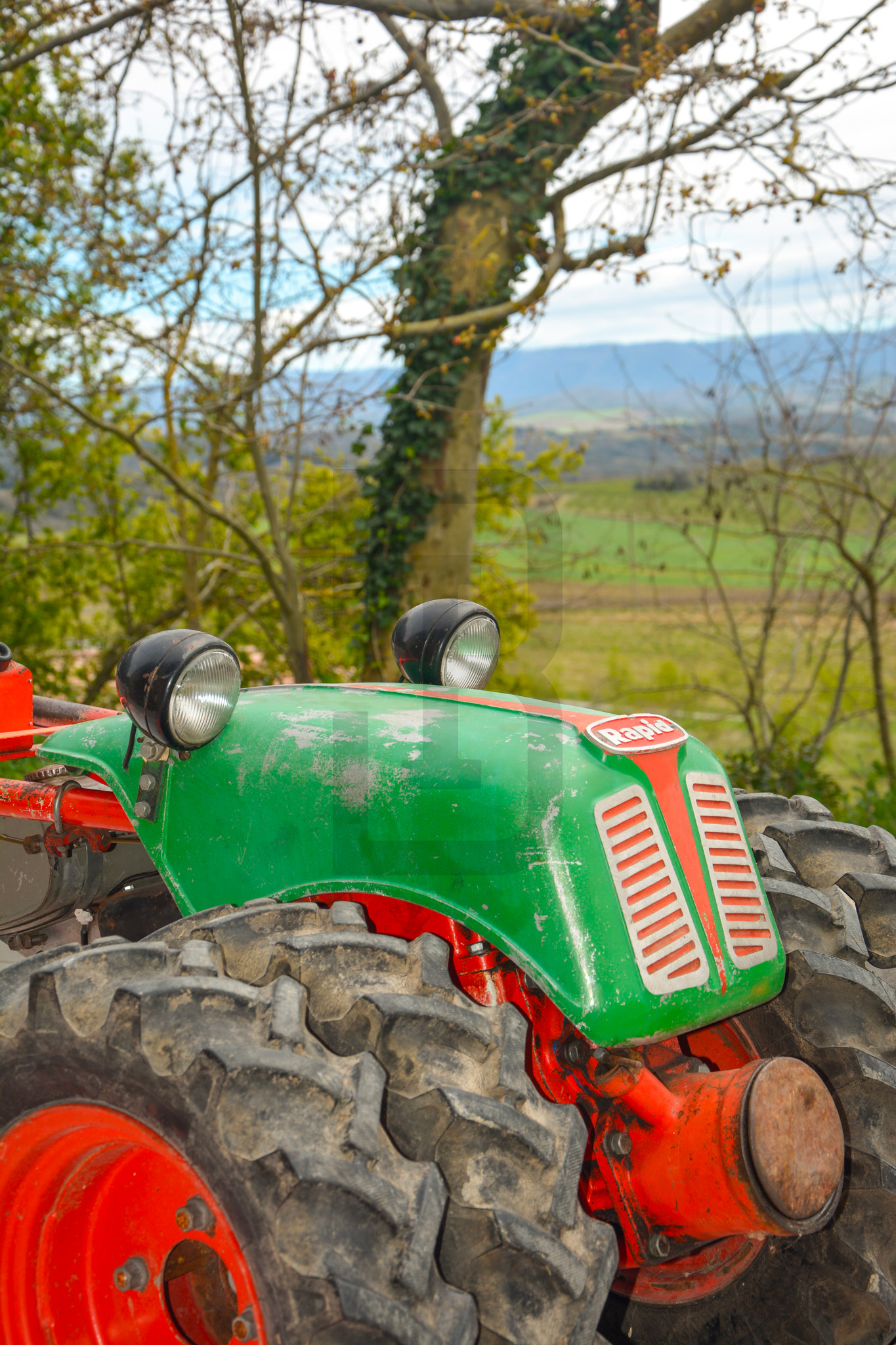 AMOUR | LIMOUX (11300) – Image 109