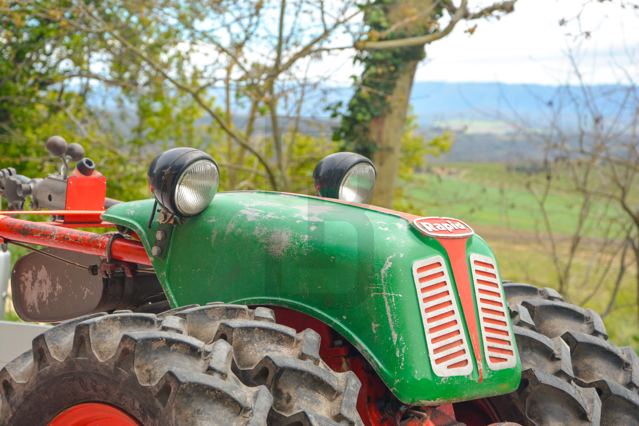AMOUR | LIMOUX (11300) – Image 110
