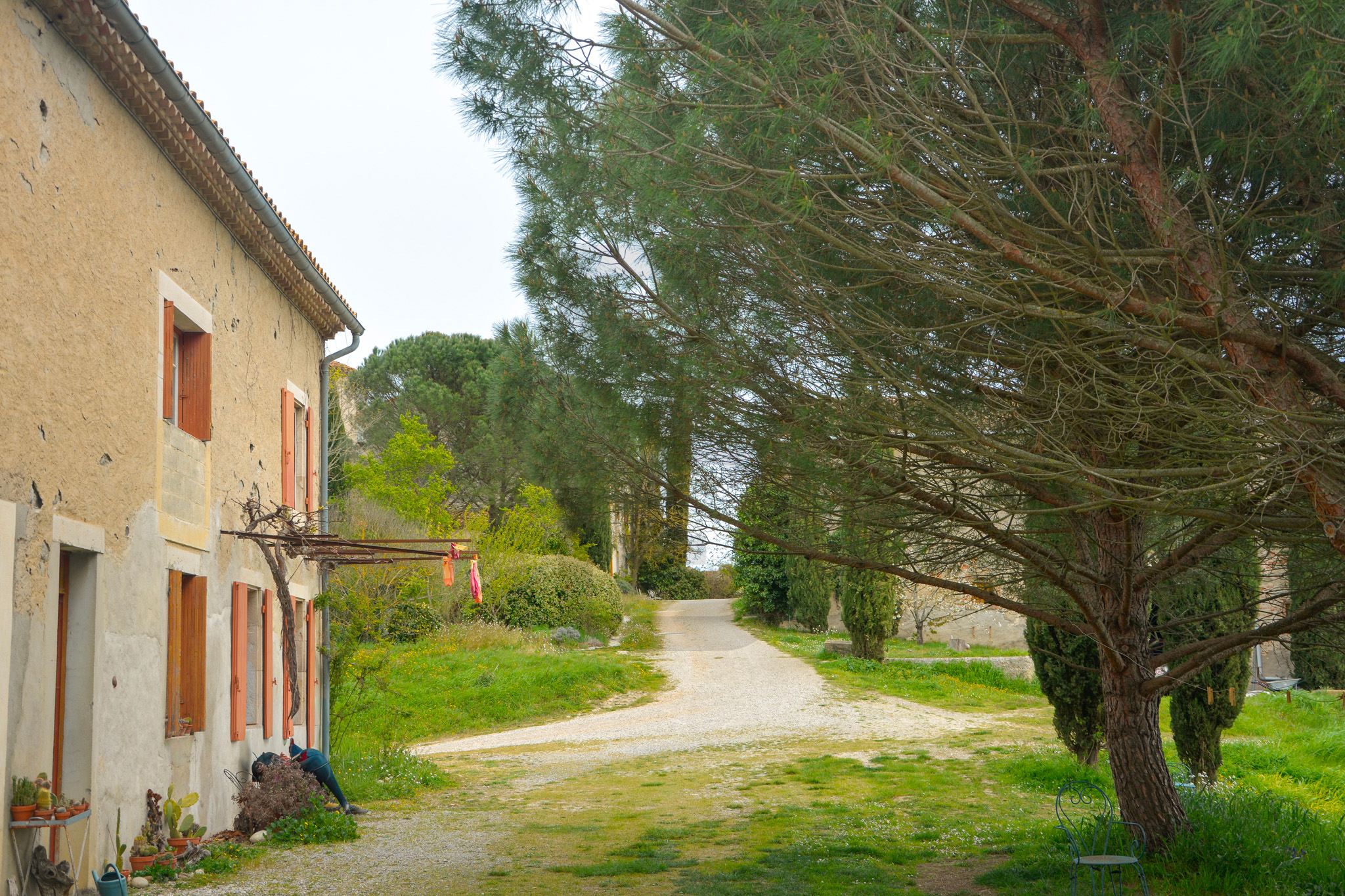AMOUR | LIMOUX (11300) – Image 116