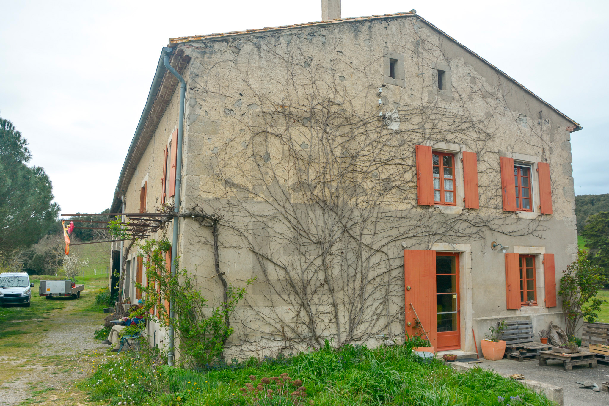 AMOUR | LIMOUX (11300) – Image 117