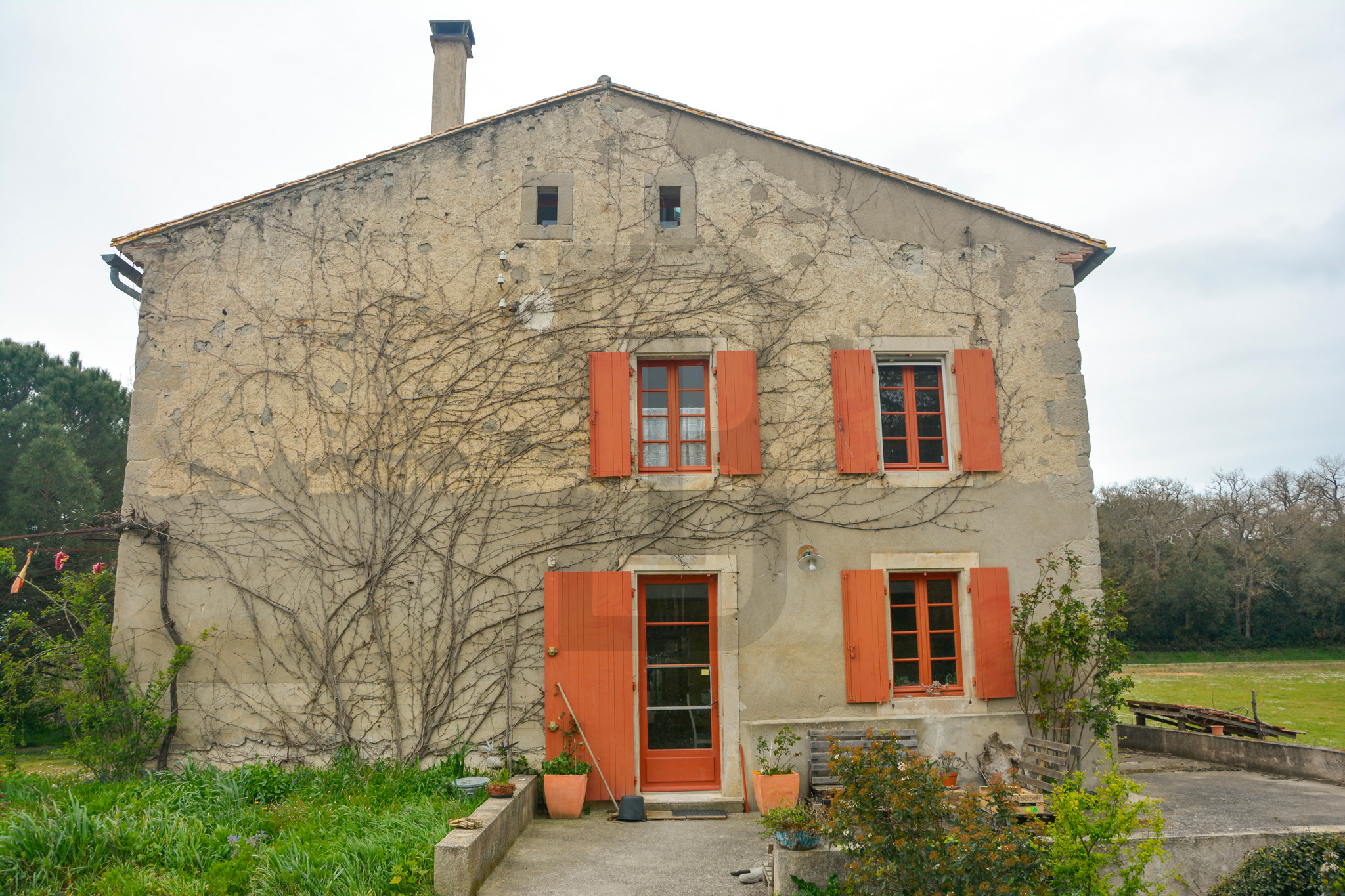 AMOUR | LIMOUX (11300) – Image 118