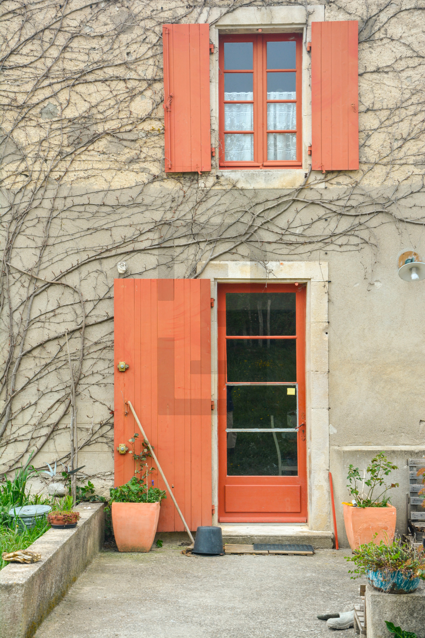 AMOUR | LIMOUX (11300) – Image 119
