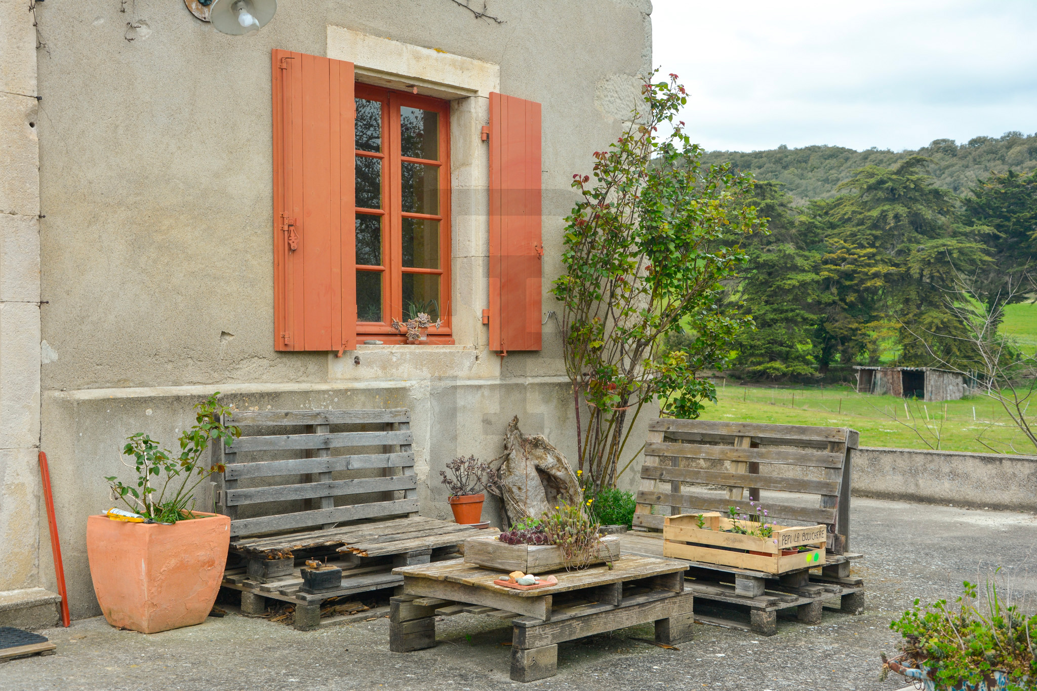 AMOUR | LIMOUX (11300) – Image 120
