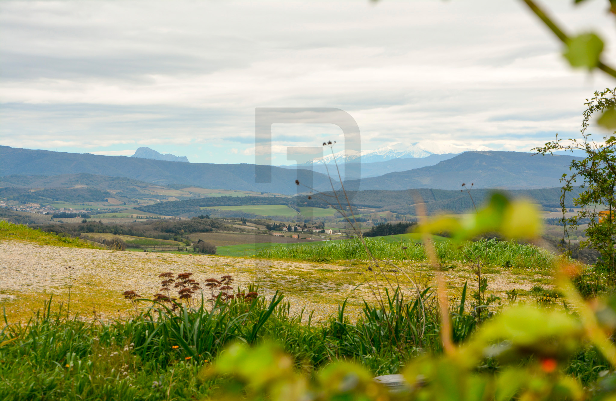 AMOUR | LIMOUX (11300) – Image 121