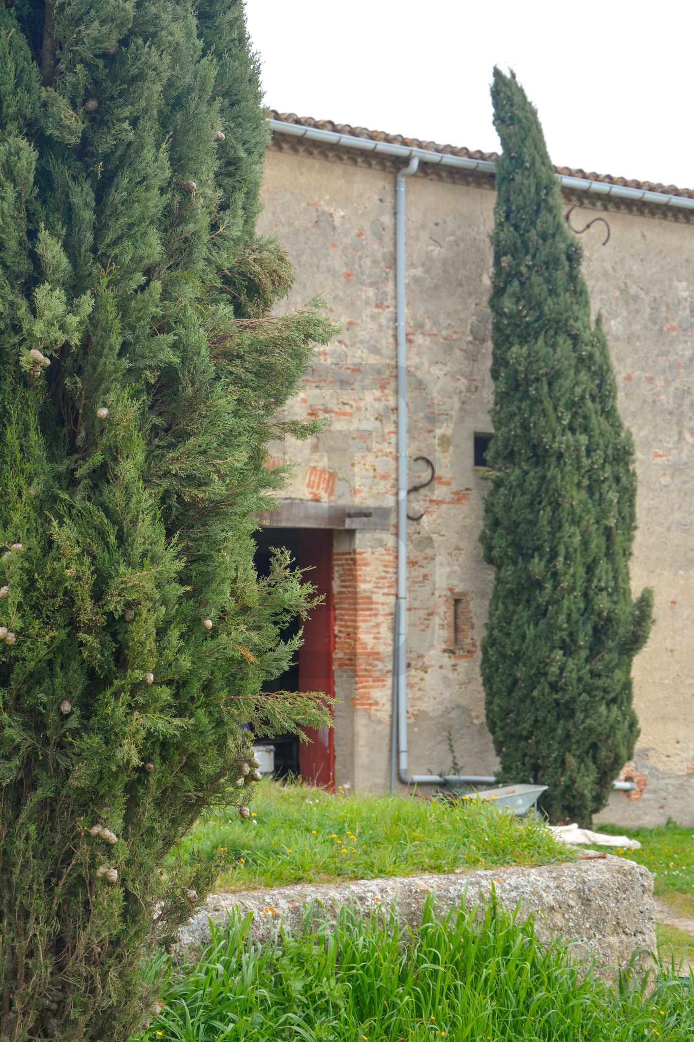 AMOUR | LIMOUX (11300) – Image 134