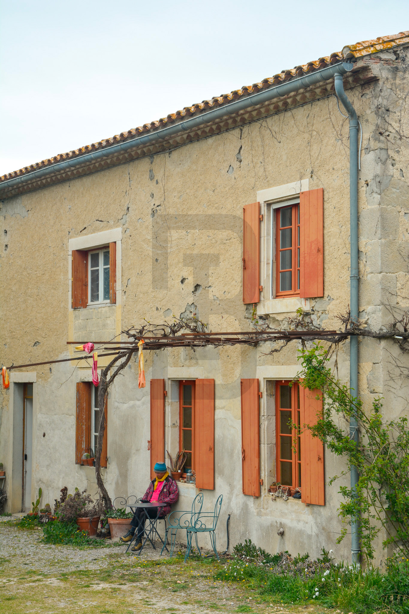 AMOUR | LIMOUX (11300) – Image 136
