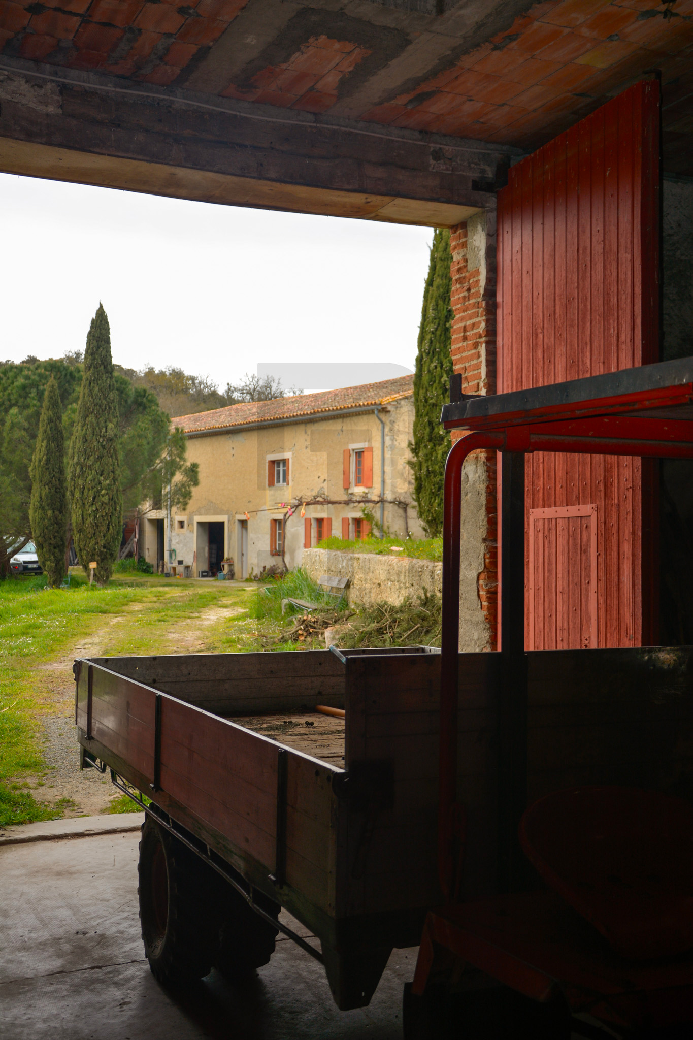 AMOUR | LIMOUX (11300) – Image 139