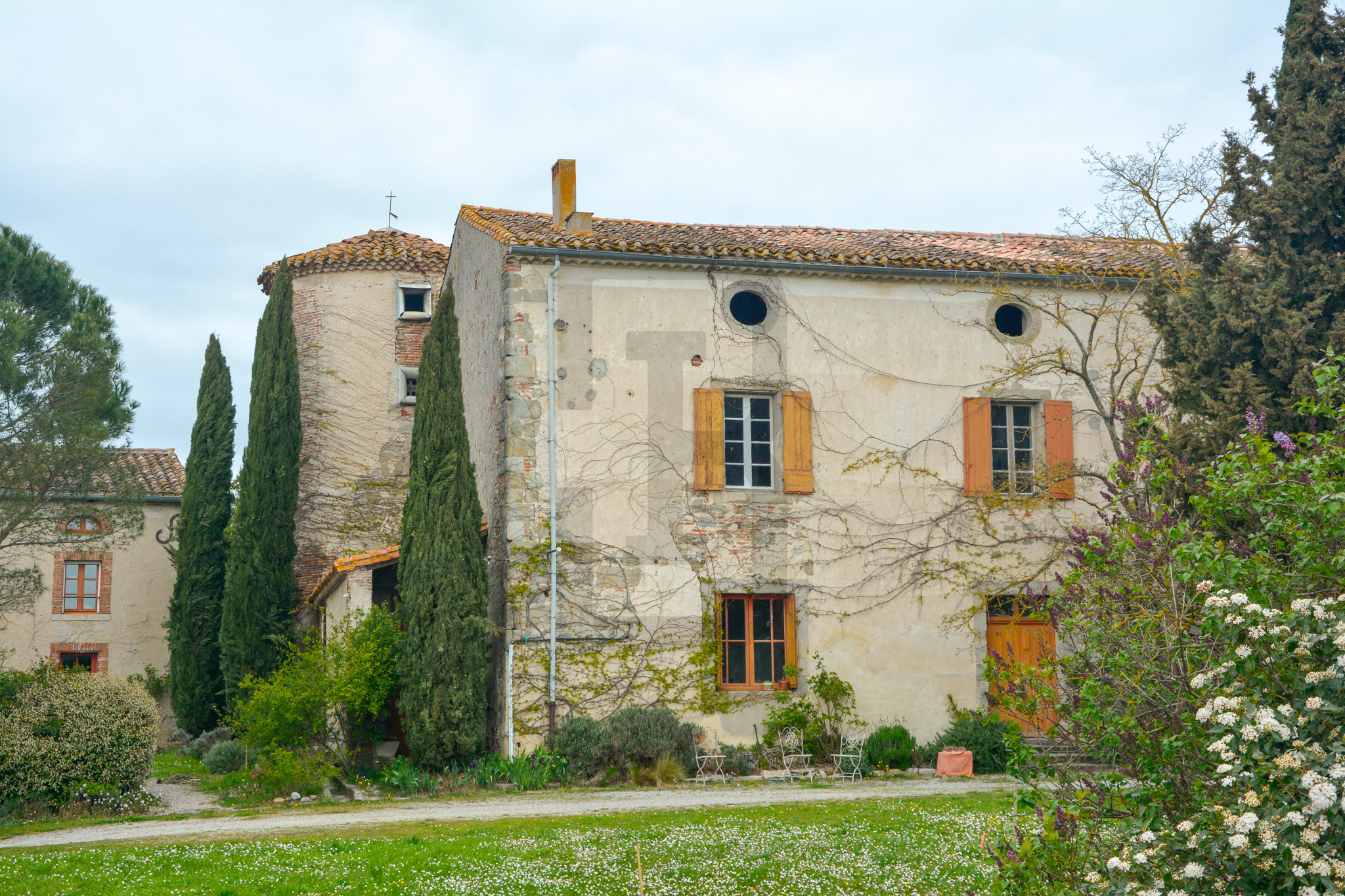 AMOUR | LIMOUX (11300) – Image 152