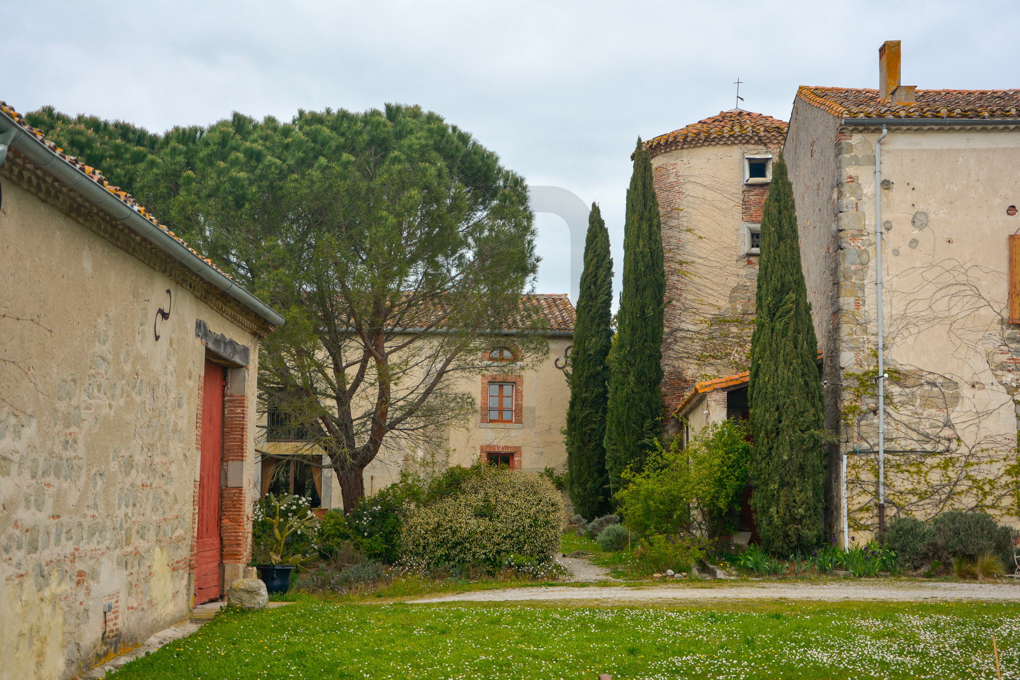AMOUR | LIMOUX (11300) – Image 153