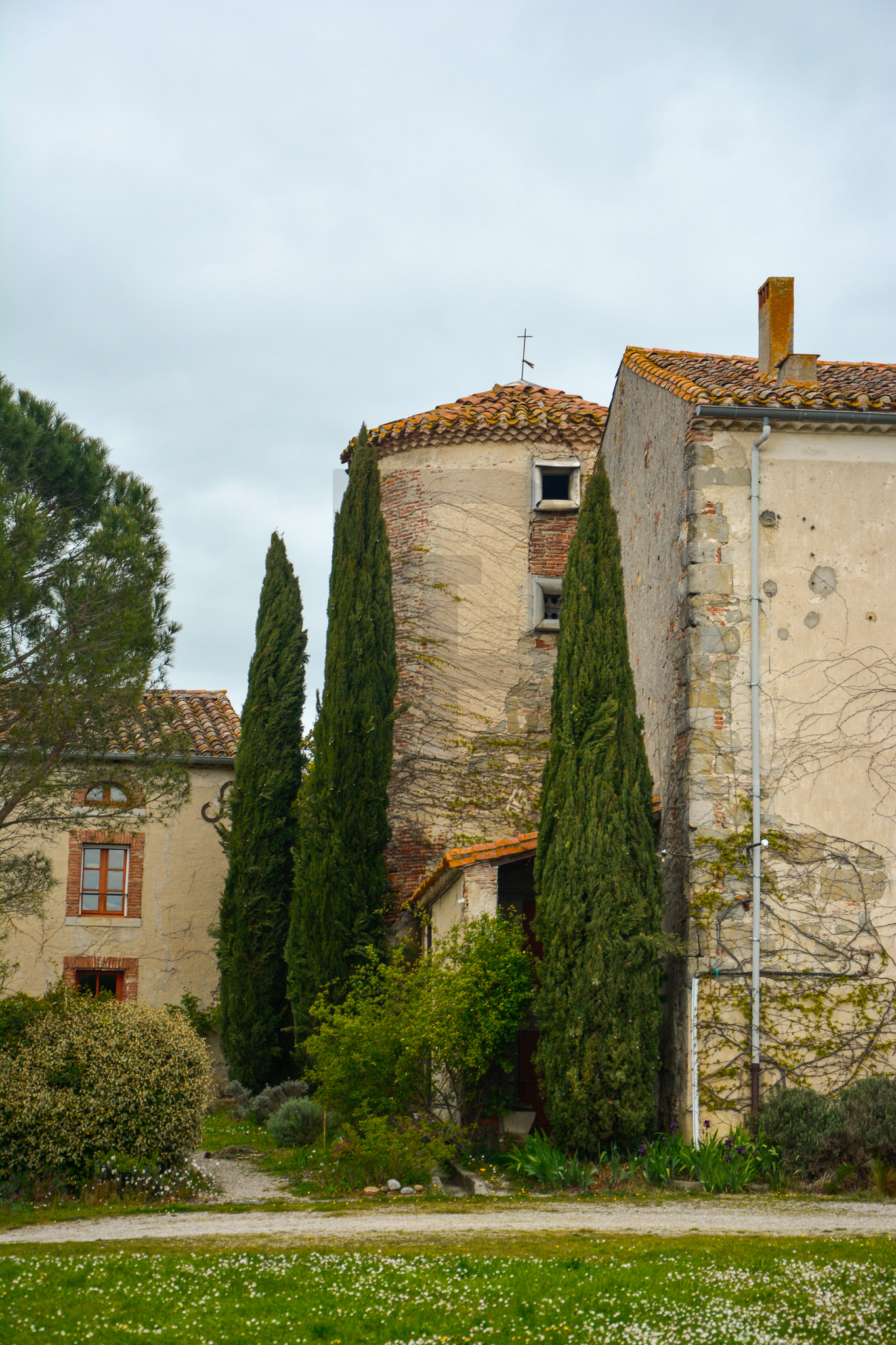 AMOUR | LIMOUX (11300) – Image 154