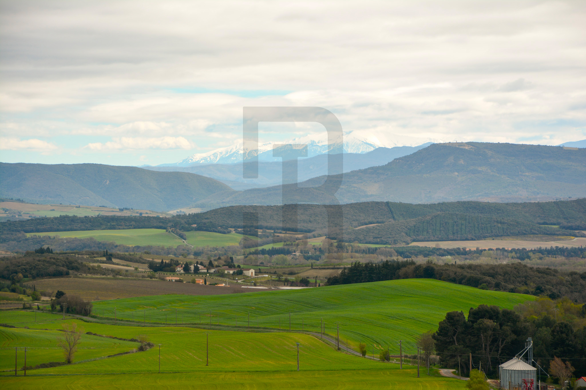 AMOUR | LIMOUX (11300) – Image 156