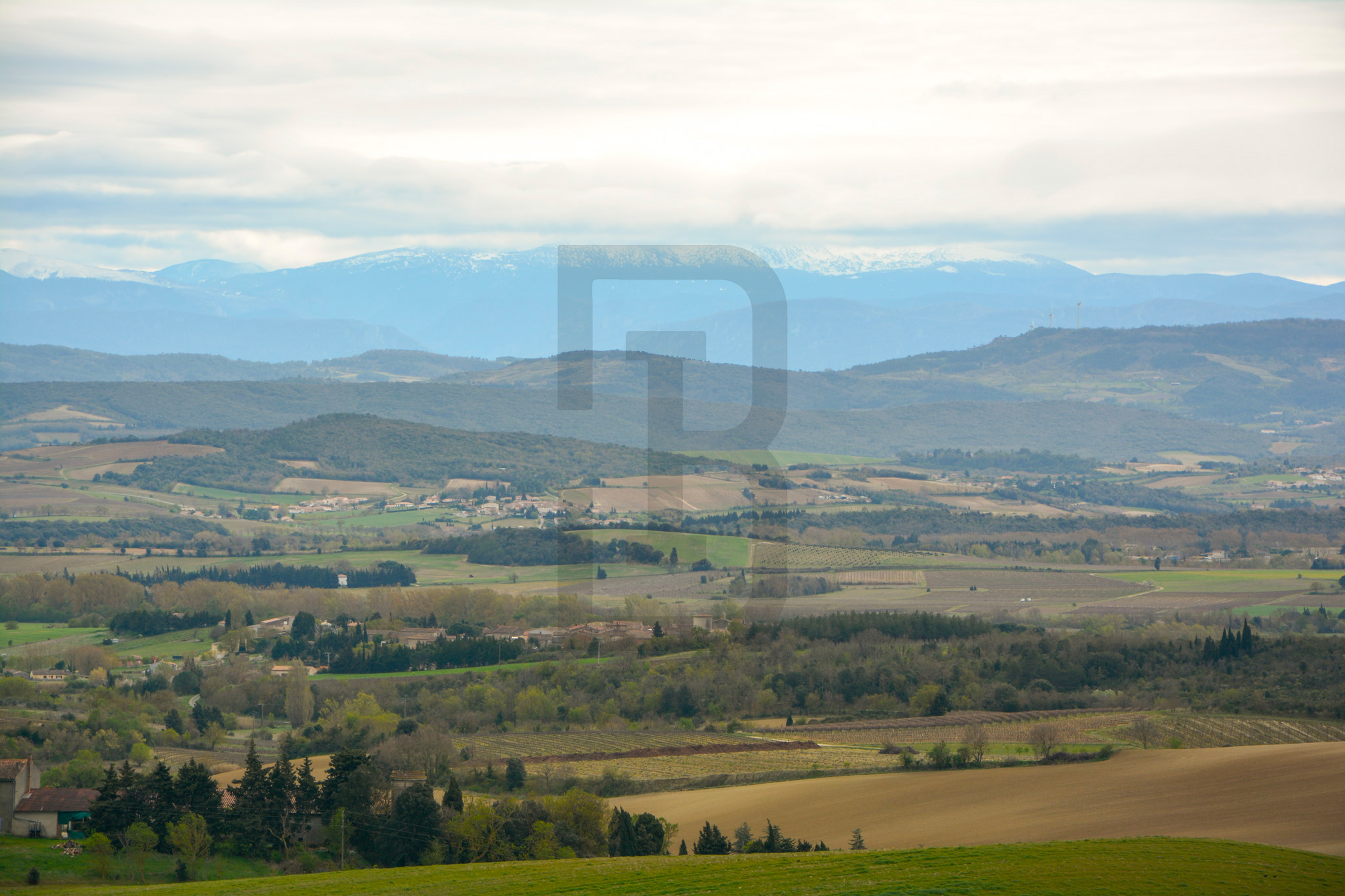 AMOUR | LIMOUX (11300) – Image 157