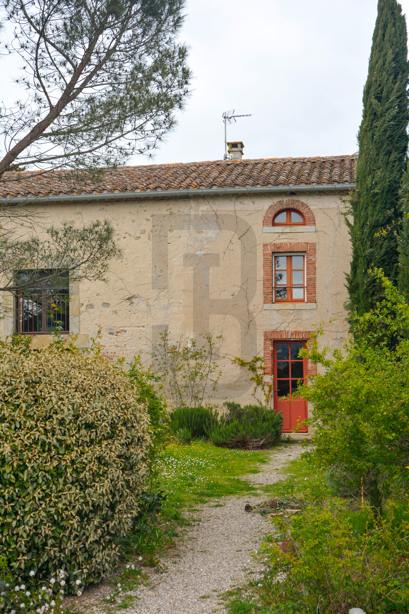 AMOUR | LIMOUX (11300) – Image 159
