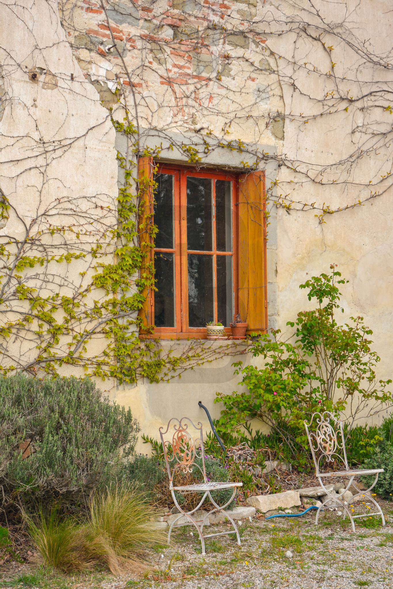 AMOUR | LIMOUX (11300) – Image 160