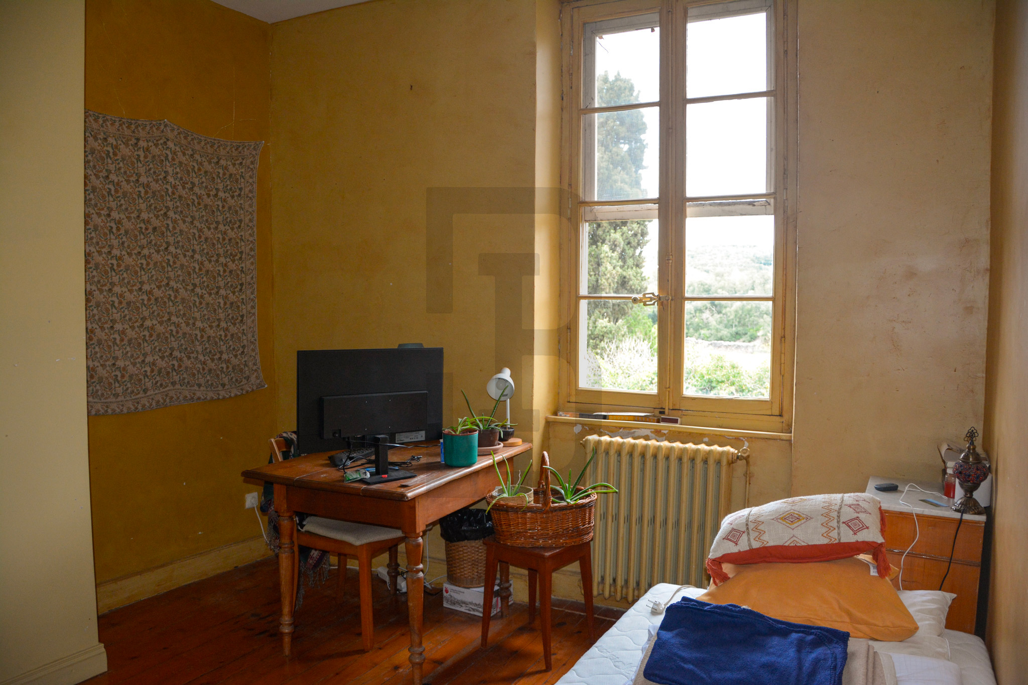 AMOUR | LIMOUX (11300) – Image 93