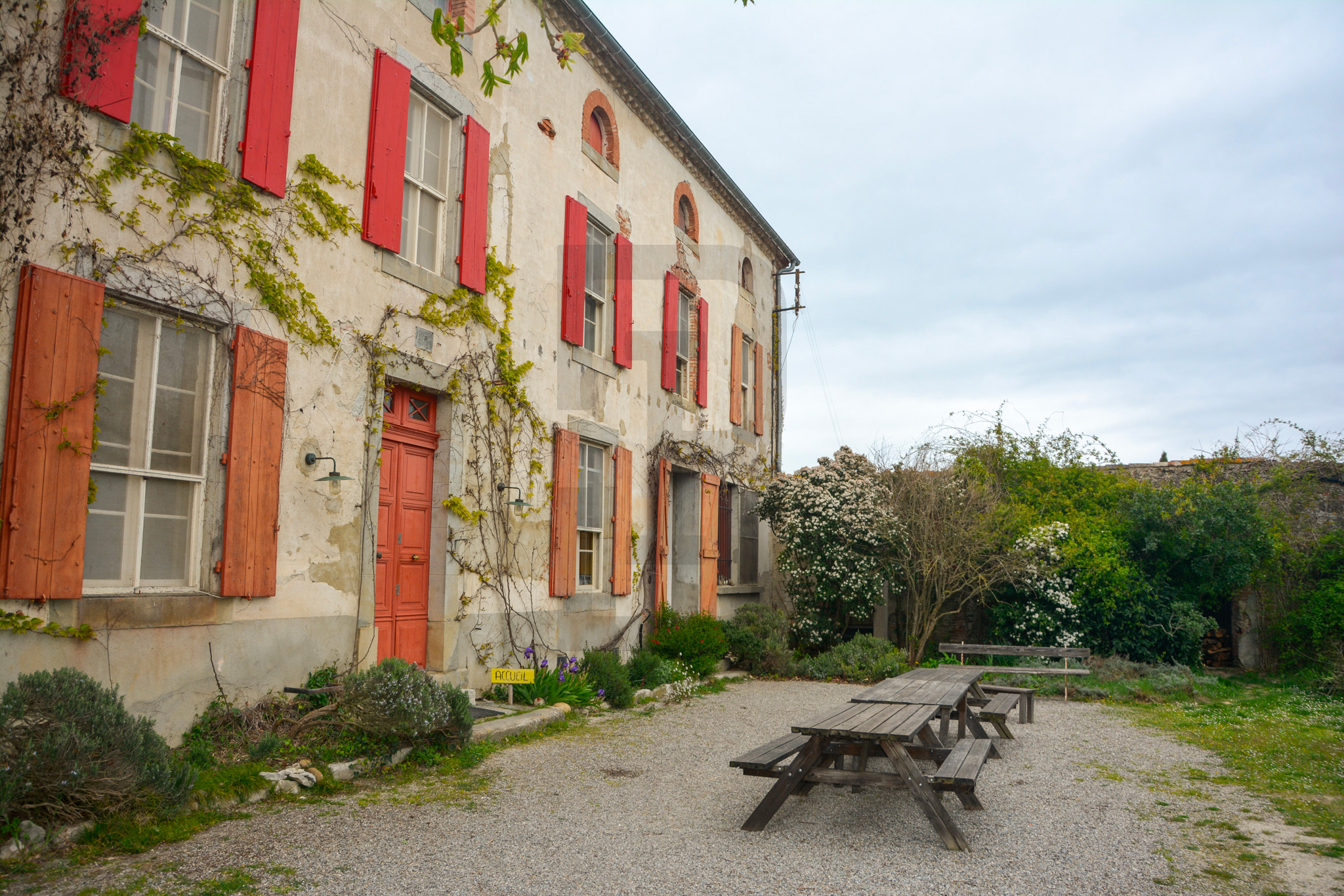 AMOUR | LIMOUX (11300) – Image 60