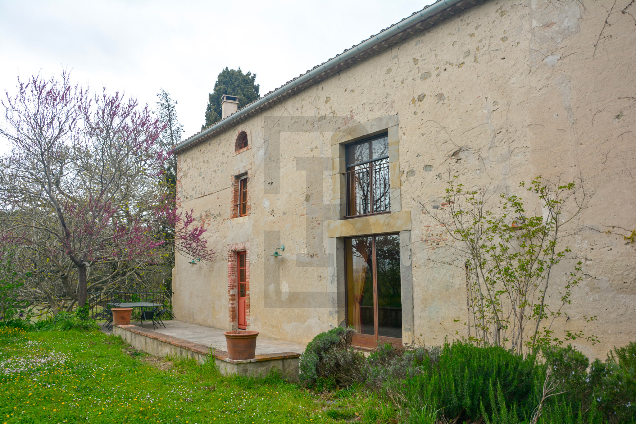 AMOUR | LIMOUX (11300) – Image 2
