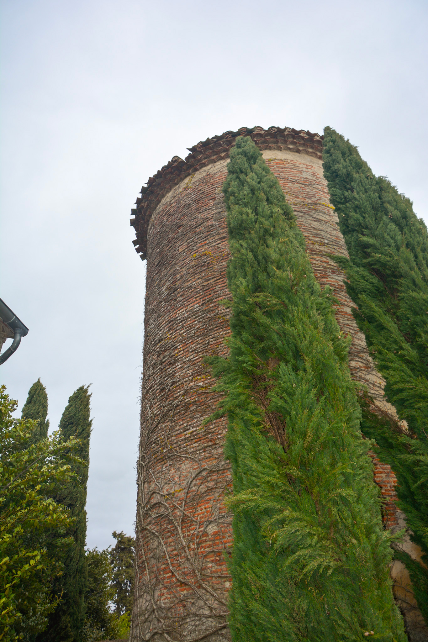 AMOUR | LIMOUX (11300) – Image 3