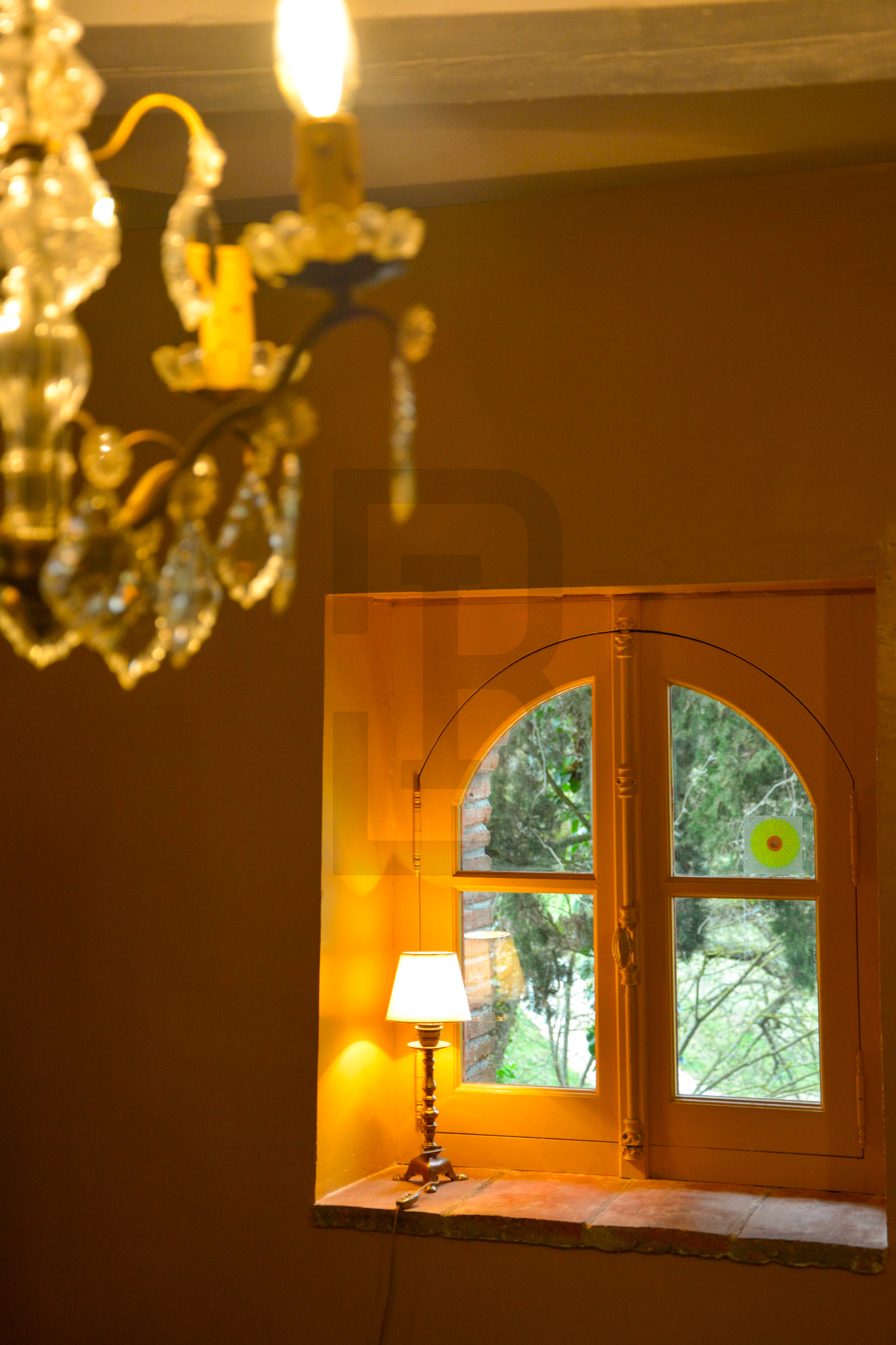 AMOUR | LIMOUX (11300) – Image 17