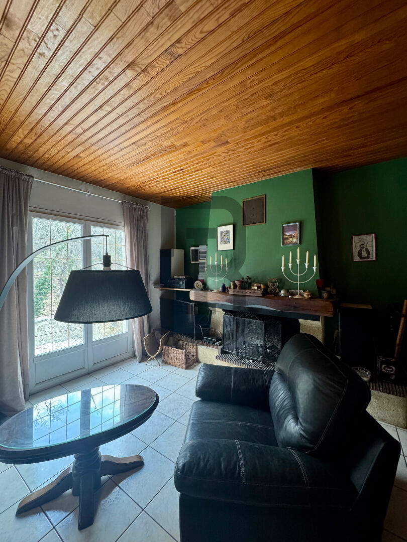 RIVIÈRE | QUILLAN (11500) – Image 6